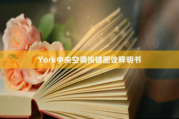 York中央空调按键图诠释明书